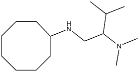 [1-(cyclooctylamino)-3-methylbutan-2-yl]dimethylamine 化学構造式