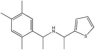 [1-(thiophen-2-yl)ethyl][1-(2,4,5-trimethylphenyl)ethyl]amine