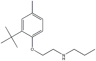 [2-(2-tert-butyl-4-methylphenoxy)ethyl](propyl)amine 化学構造式