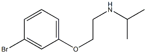 [2-(3-bromophenoxy)ethyl](propan-2-yl)amine|