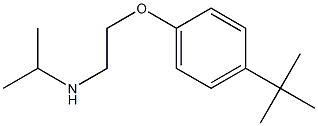 [2-(4-tert-butylphenoxy)ethyl](propan-2-yl)amine,,结构式