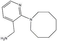 [2-(azocan-1-yl)pyridin-3-yl]methanamine