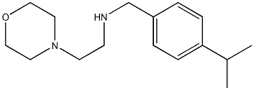  [2-(morpholin-4-yl)ethyl]({[4-(propan-2-yl)phenyl]methyl})amine