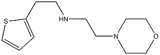 [2-(morpholin-4-yl)ethyl][2-(thiophen-2-yl)ethyl]amine