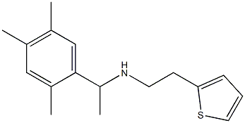 [2-(thiophen-2-yl)ethyl][1-(2,4,5-trimethylphenyl)ethyl]amine,,结构式