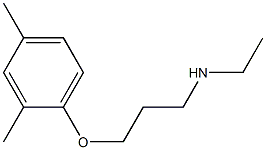 [3-(2,4-dimethylphenoxy)propyl](ethyl)amine 结构式