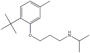 [3-(2-tert-butyl-5-methylphenoxy)propyl](propan-2-yl)amine Structure