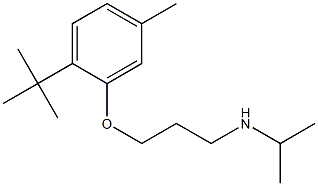 [3-(2-tert-butyl-5-methylphenoxy)propyl](propan-2-yl)amine 化学構造式