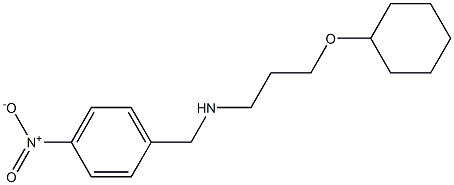 [3-(cyclohexyloxy)propyl][(4-nitrophenyl)methyl]amine 化学構造式