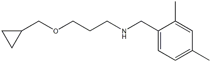 [3-(cyclopropylmethoxy)propyl][(2,4-dimethylphenyl)methyl]amine Structure