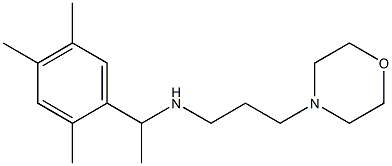 [3-(morpholin-4-yl)propyl][1-(2,4,5-trimethylphenyl)ethyl]amine