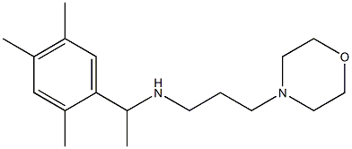 [3-(morpholin-4-yl)propyl][1-(2,4,5-trimethylphenyl)ethyl]amine 结构式