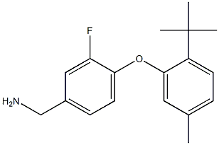 [4-(2-tert-butyl-5-methylphenoxy)-3-fluorophenyl]methanamine 结构式