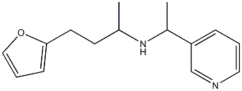 [4-(furan-2-yl)butan-2-yl][1-(pyridin-3-yl)ethyl]amine 化学構造式