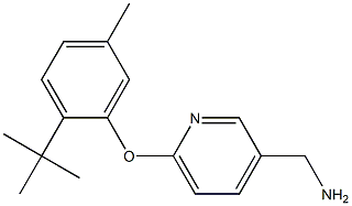 [6-(2-tert-butyl-5-methylphenoxy)pyridin-3-yl]methanamine Structure