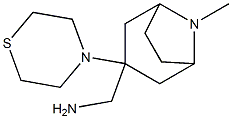 [8-methyl-3-(thiomorpholin-4-yl)-8-azabicyclo[3.2.1]octan-3-yl]methanamine,,结构式