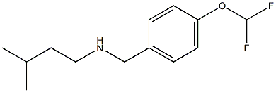  {[4-(difluoromethoxy)phenyl]methyl}(3-methylbutyl)amine