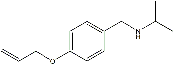 {[4-(prop-2-en-1-yloxy)phenyl]methyl}(propan-2-yl)amine 结构式
