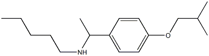 {1-[4-(2-methylpropoxy)phenyl]ethyl}(pentyl)amine