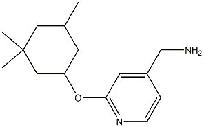 {2-[(3,3,5-trimethylcyclohexyl)oxy]pyridin-4-yl}methanamine 结构式