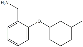 {2-[(3-methylcyclohexyl)oxy]phenyl}methanamine,,结构式