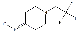 1-(2,2,2-trifluoroethyl)piperidin-4-one oxime