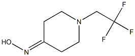 1-(2,2,2-trifluoroethyl)piperidin-4-one oxime Structure