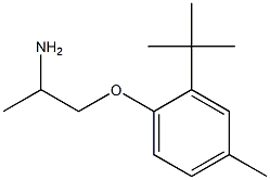 1-(2-tert-butyl-4-methylphenoxy)propan-2-amine 结构式