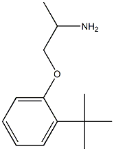 1-(2-tert-butylphenoxy)propan-2-amine Structure