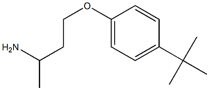 1-(3-aminobutoxy)-4-tert-butylbenzene