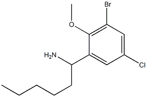 1-(3-bromo-5-chloro-2-methoxyphenyl)hexan-1-amine