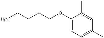 1-(4-aminobutoxy)-2,4-dimethylbenzene|