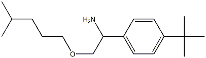 1-(4-tert-butylphenyl)-2-[(4-methylpentyl)oxy]ethan-1-amine|