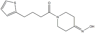 1-(4-thien-2-ylbutanoyl)piperidin-4-one oxime 化学構造式