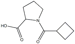 1-(cyclobutylcarbonyl)pyrrolidine-2-carboxylic acid,,结构式