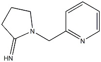  1-(pyridin-2-ylmethyl)pyrrolidin-2-imine