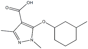 1,3-dimethyl-5-[(3-methylcyclohexyl)oxy]-1H-pyrazole-4-carboxylic acid,,结构式