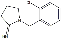 1-[(2-chlorophenyl)methyl]pyrrolidin-2-imine