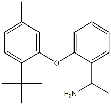 1-[2-(2-tert-butyl-5-methylphenoxy)phenyl]ethan-1-amine Structure