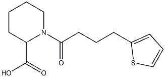 1-[4-(thiophen-2-yl)butanoyl]piperidine-2-carboxylic acid 化学構造式