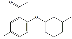 1-{5-fluoro-2-[(3-methylcyclohexyl)oxy]phenyl}ethan-1-one 化学構造式