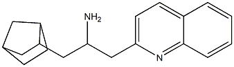 1-{bicyclo[2.2.1]heptan-2-yl}-3-(quinolin-2-yl)propan-2-amine 结构式