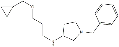 1-benzyl-N-[3-(cyclopropylmethoxy)propyl]pyrrolidin-3-amine Structure