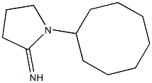 1-cyclooctylpyrrolidin-2-imine,,结构式