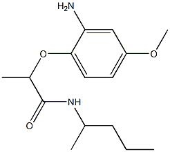 2-(2-amino-4-methoxyphenoxy)-N-(pentan-2-yl)propanamide