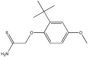 2-(2-tert-butyl-4-methoxyphenoxy)ethanethioamide 化学構造式