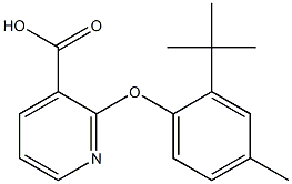 2-(2-tert-butyl-4-methylphenoxy)pyridine-3-carboxylic acid 化学構造式