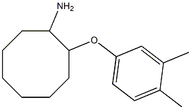  2-(3,4-dimethylphenoxy)cyclooctan-1-amine