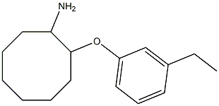  2-(3-ethylphenoxy)cyclooctan-1-amine