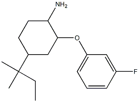 2-(3-fluorophenoxy)-4-(2-methylbutan-2-yl)cyclohexan-1-amine 结构式